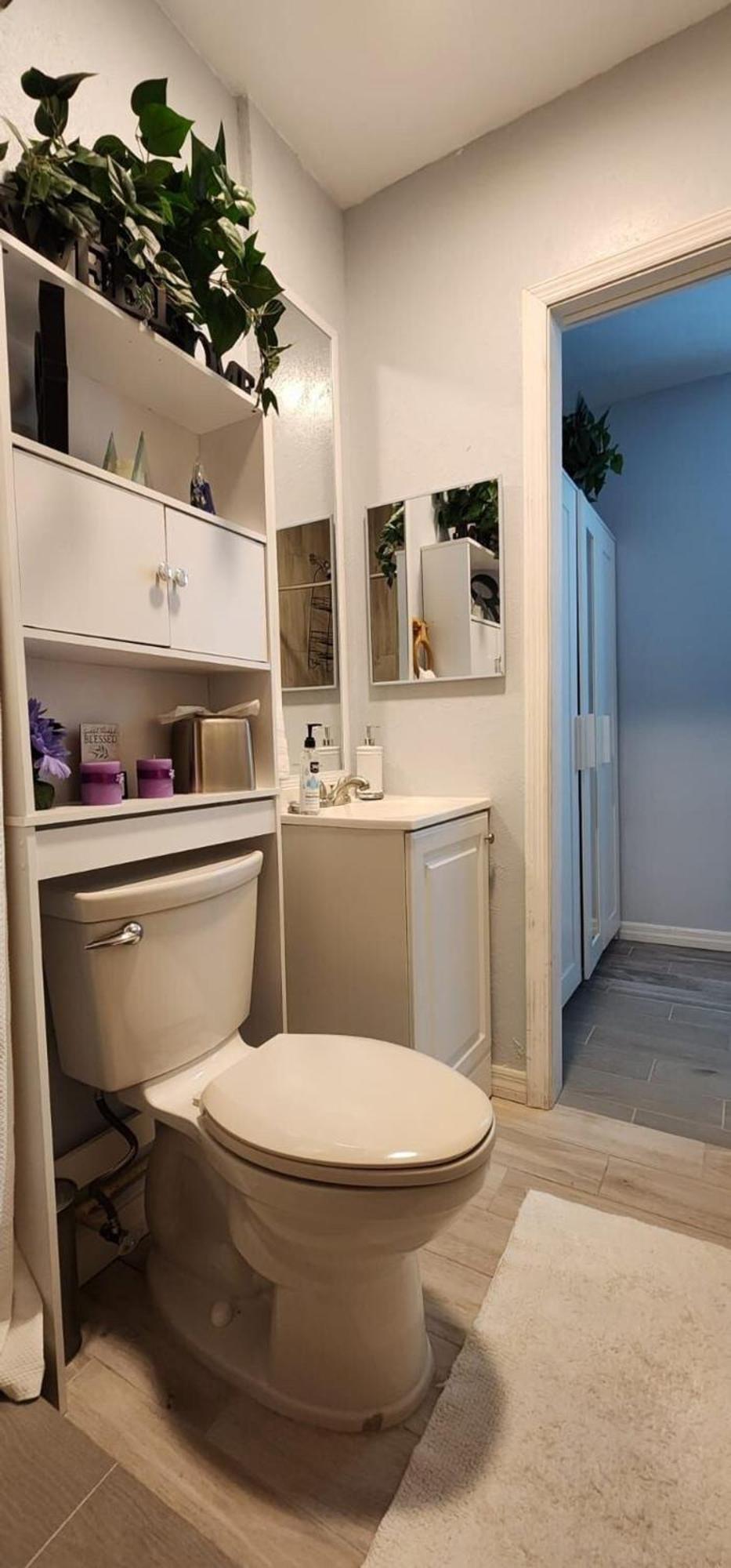 Sweet Studio In Sarasota Ngoại thất bức ảnh